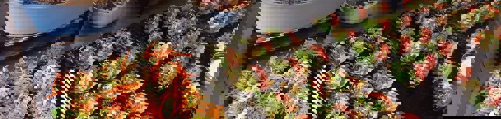 17757589_1874568216157365_7171320477778846313_n.jpg
